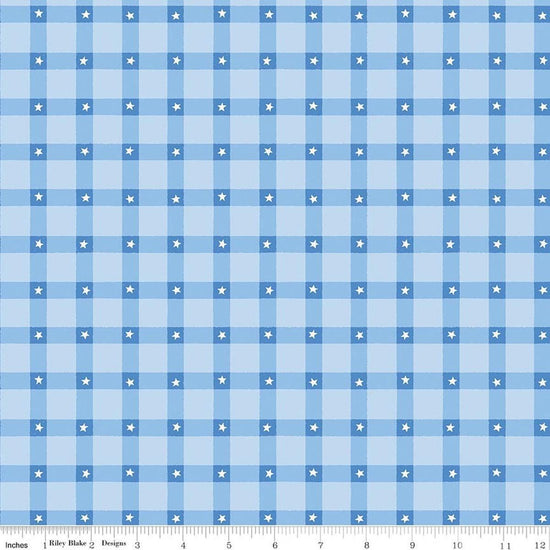 Image of Firecracker Plaid Frost quilting cotton fabric by My Mind's Eye for Riley Blake Designs. Features stars on a blue background. Cute Little Fabric Shop.