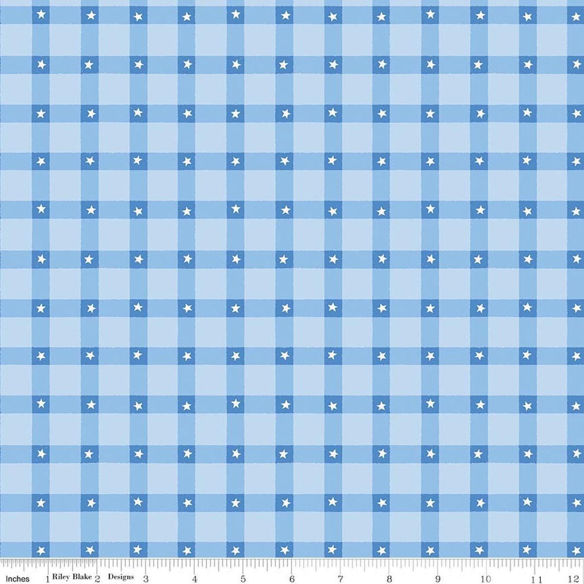 Image of Firecracker Plaid Frost quilting cotton fabric by My Mind's Eye for Riley Blake Designs. Features stars on a blue background. Cute Little Fabric Shop.