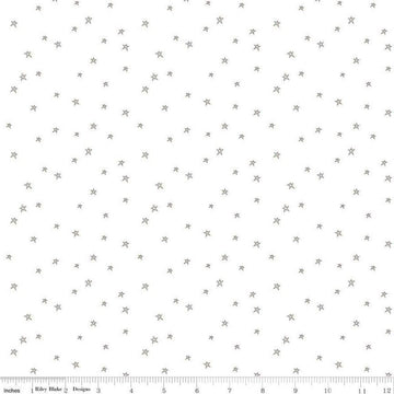 Bee Plaids Farmhouse Star Pebble Brown Low-Volume Fabric - C12039 - Lori Holt Riley Blake Quilting Cotton Fabric