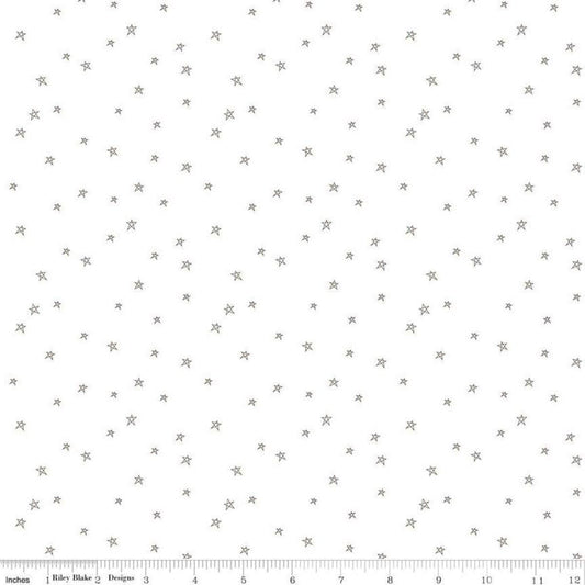 Bee Plaids Farmhouse Star Pebble Brown Low-Volume Fabric - C12039 - Lori Holt Riley Blake Quilting Cotton Fabric