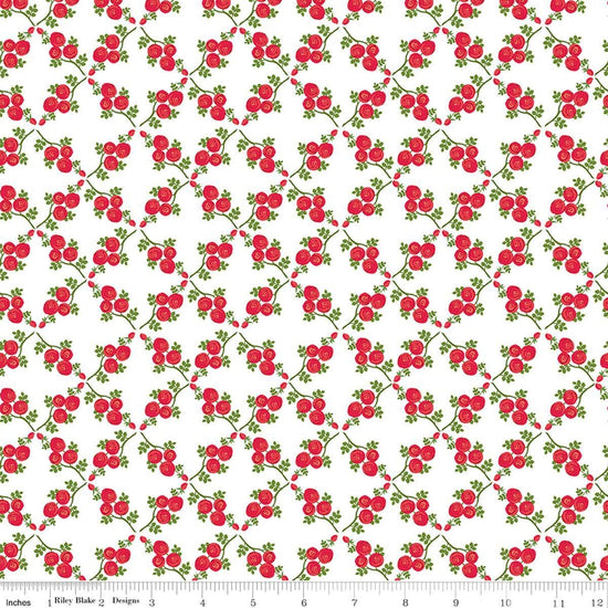 Image of Front Porch Trellis White quilting cotton fabric by Jill Finley for Riley Blake Designs. Features flowers on a white background. Cute Little Fabric Shop.