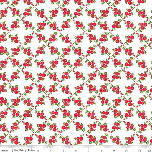 Image of Front Porch Trellis White quilting cotton fabric by Jill Finley for Riley Blake Designs. Features flowers on a white background. Cute Little Fabric Shop.