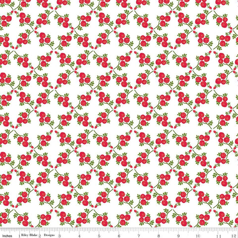 Image of Front Porch Trellis White quilting cotton fabric by Jill Finley for Riley Blake Designs. Features flowers on a white background. Cute Little Fabric Shop.