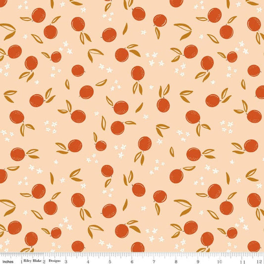Image of Homage Oranges Shell quilting cotton fabric by Fran Gulick for Riley Blake Designs. Features oranges on an orange background. Cute Little Fabric Shop.