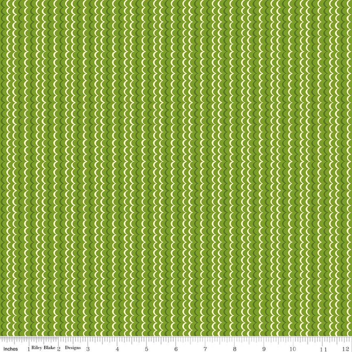 Image of Awakening Scallops Kiwi quilting cotton fabric by Cherry Guidry for Riley Blake Designs. Features stripes on a green background. Cute Little Fabric Shop.