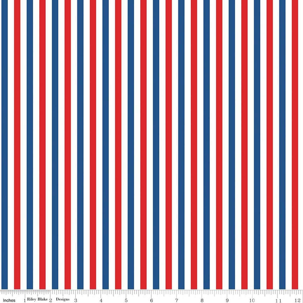 Image of Firecracker Stripes Multi quilting cotton fabric by My Mind's Eye for Riley Blake Designs. Features stripes on a white background. Cute Little Fabric Shop.