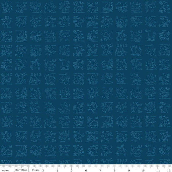 Image of Sew America State Birds Blue quilting cotton fabric by J. Wecker Frisch for Riley Blake Designs. Features vintage American state birds on a blue background. Cute Little Fabric Shop.
