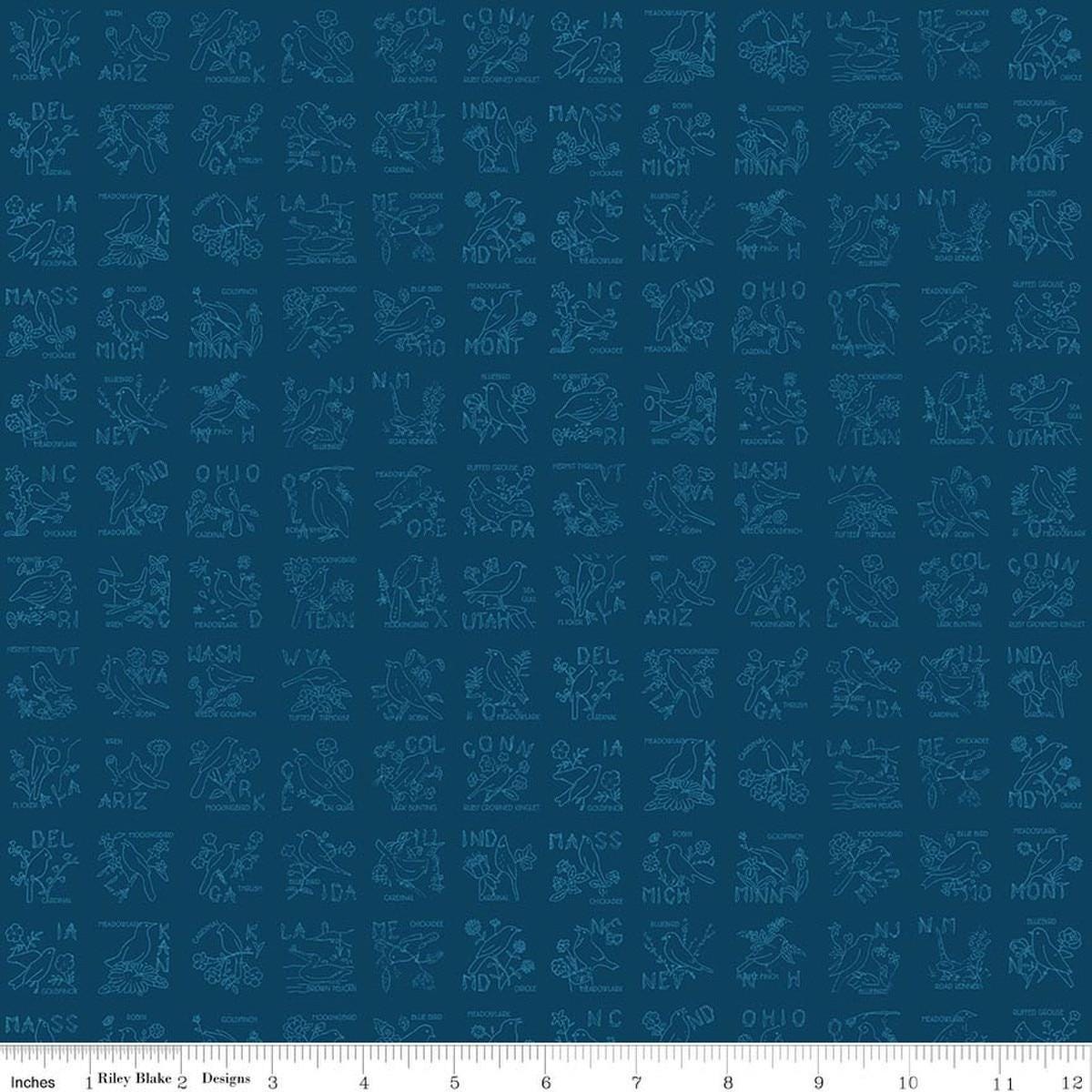 Image of Sew America State Birds Blue quilting cotton fabric by J. Wecker Frisch for Riley Blake Designs. Features vintage American state birds on a blue background. Cute Little Fabric Shop.
