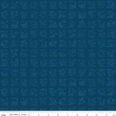 Image of Sew America State Birds Blue quilting cotton fabric by J. Wecker Frisch for Riley Blake Designs. Features vintage American state birds on a blue background. Cute Little Fabric Shop.