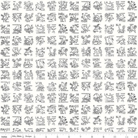 Image of Sew America State Birds White quilting cotton fabric by J. Wecker Frisch for Riley Blake Designs. Features vintage American state birds on a white background. Cute Little Fabric Shop.