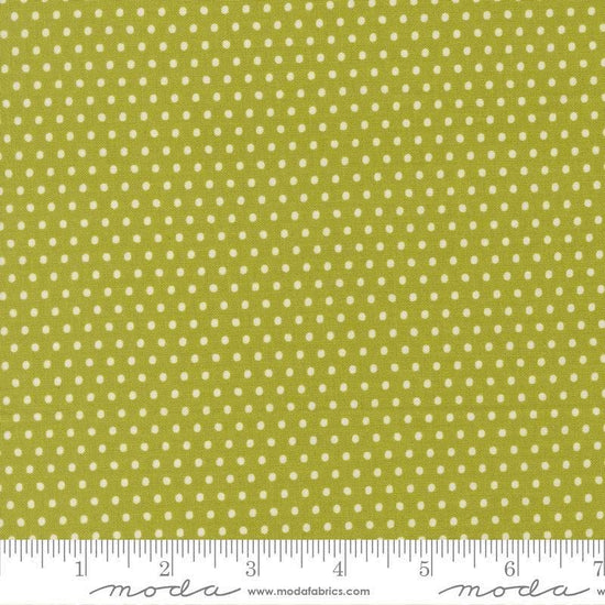 Image of Animal Park Fun Dots Iguana quilting cotton fabric by Stacy Iest Hsu for Moda Fabrics. Features dots on a green background. Cute Little Fabric Shop.