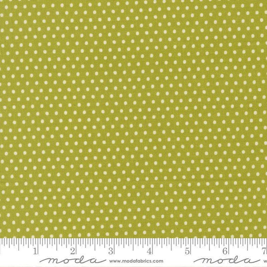 Image of Animal Park Fun Dots Iguana quilting cotton fabric by Stacy Iest Hsu for Moda Fabrics. Features dots on a green background. Cute Little Fabric Shop.
