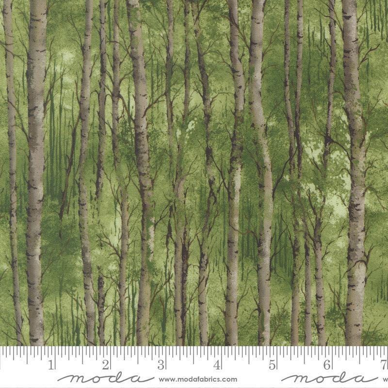 Image of Wild Blue Yonder Birch Grove Pine quilting cotton fabric by Moda Fabrics. Features trees on a green background. Cute Little Fabric Shop.