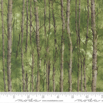 Image of Wild Blue Yonder Birch Grove Pine quilting cotton fabric by Moda Fabrics. Features trees on a green background. Cute Little Fabric Shop.