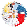 DEAL Sew America 5" Stacker 5-17340-42 - Riley Blake - Patriotic - 42-Piece Precut - Quilting Cotton Fabric