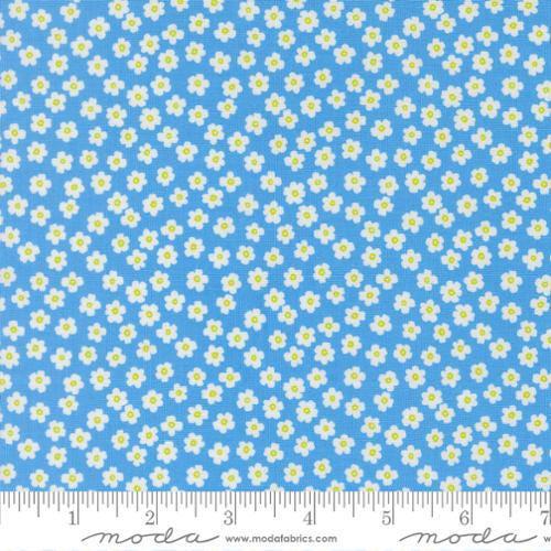 Image of True to Hue Petal Power Blue My Mind quilting cotton fabric by Alli K Design for Moda Fabrics. Features flowers on a blue background. Cute Little Fabric Shop.