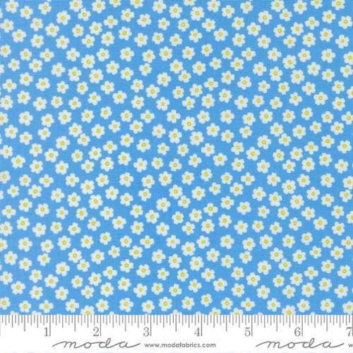Image of True to Hue Petal Power Blue My Mind quilting cotton fabric by Alli K Design for Moda Fabrics. Features flowers on a blue background. Cute Little Fabric Shop.