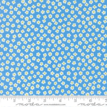 Image of True to Hue Petal Power Blue My Mind quilting cotton fabric by Alli K Design for Moda Fabrics. Features flowers on a blue background. Cute Little Fabric Shop.