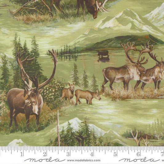 Image of Wild Blue Yonder Wildlife Pine quilting cotton fabric by Moda Fabrics. Features animals on a green background. Cute Little Fabric Shop.