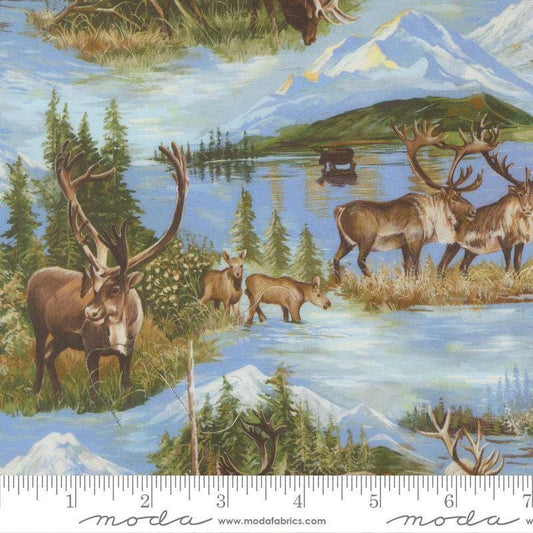 Image of Wild Blue Yonder Wildlife Sky quilting cotton fabric by Moda Fabrics. Features animals on a blue background. Cute Little Fabric Shop.