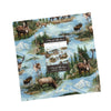 Wild Blue Yonder Layer Cake Nature Fabric - 33870LC - 42-piece Precut - Moda Fabric Quilting Cotton Fabric