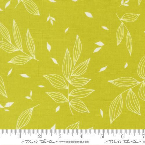 Image of True to Hue Falling Leaves Citronized quilting cotton fabric by Alli K Design for Moda Fabrics. Features leaves on a green background. Cute Little Fabric Shop.