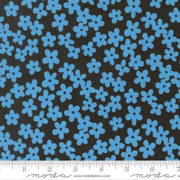 Image of True to Hue Petal Night Blue quilting cotton fabric by Alli K Design for Moda Fabrics. Features flowers on a blue background. Cute Little Fabric Shop.