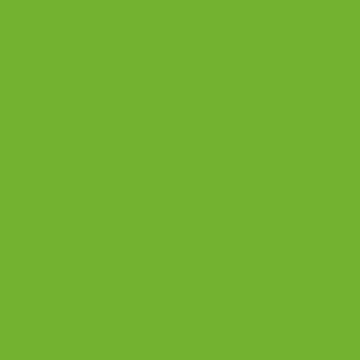 Image of Flannel Feather Lime flannel cotton fabric by Ink & Arrow for QT Fabrics. Features a solid green fabric. Cute Little Fabric Shop.