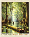 SALE National Parks Congaree Poster Panel DIGITALLY PRINTED Fabric - PD17702 - Riley Blake Quilting Cotton Fabric - Licensed Product