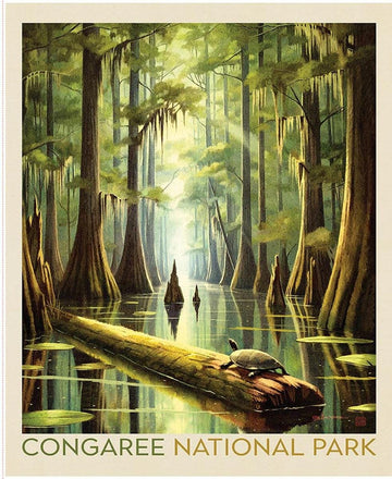 SALE National Parks Congaree Poster Panel DIGITALLY PRINTED Fabric - PD17702 - Riley Blake Quilting Cotton Fabric - Licensed Product