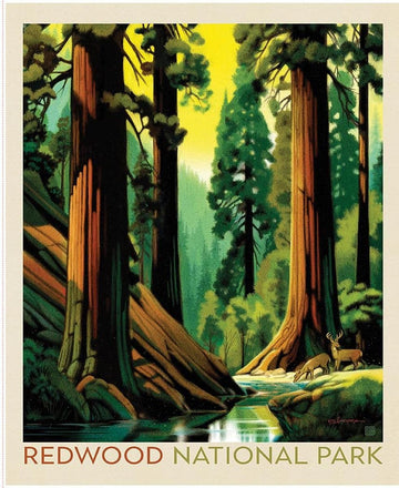 SALE National Parks Redwood Poster Panel DIGITALLY PRINTED Fabric - PD17709 - Riley Blake Quilting Cotton Fabric - Licensed Product