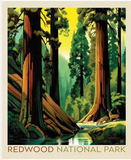 SALE National Parks Redwood Poster Panel DIGITALLY PRINTED Fabric - PD17709 - Riley Blake Quilting Cotton Fabric - Licensed Product