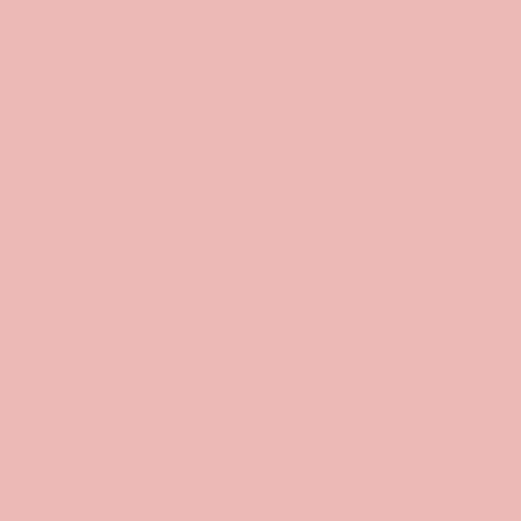 Image of Flannel Feather Peach flannel cotton fabric by Ink & Arrow for QT Fabrics. Features a solid pink fabric. Cute Little Fabric Shop.