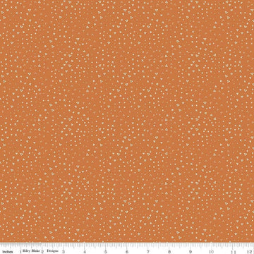 Image of Leo & Savannah Terrain Orange quilting cotton fabric by Deena Rutter for Riley Blake Designs. Features shapes on an orange background. Cute Little Fabric Shop.