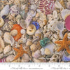 Image of Saltwater Seas The Day Shell quilting cotton fabric by Cathe Holden for Moda Fabrics. Features seashells on a beige background. Cute Little Fabric Shop.