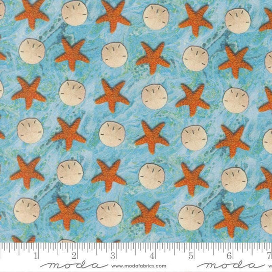 Image of Saltwater Sandy Beach Surf quilting cotton fabric by Cathe Holden for Moda Fabrics. Features seashells and starfish on a blue background. Cute Little Fabric Shop.