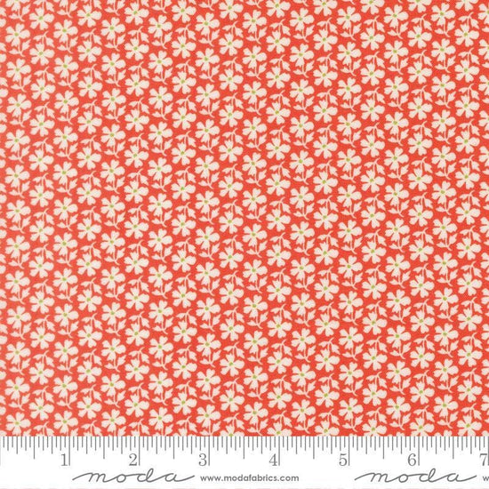 Image of Summers End Daisies Persimmon quilting cotton fabric by Fig Tree Co for Moda Fabrics. Features flowers on a red background. Cute Little Fabric Shop.