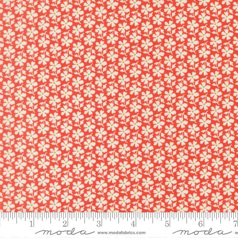 Image of Summers End Daisies Persimmon quilting cotton fabric by Fig Tree Co for Moda Fabrics. Features flowers on a red background. Cute Little Fabric Shop.