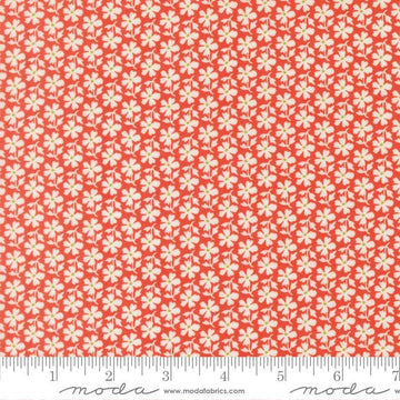 Image of Summers End Daisies Persimmon quilting cotton fabric by Fig Tree Co for Moda Fabrics. Features flowers on a red background. Cute Little Fabric Shop.