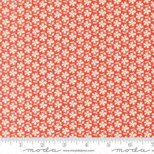 Image of Summers End Daisies Persimmon quilting cotton fabric by Fig Tree Co for Moda Fabrics. Features flowers on a red background. Cute Little Fabric Shop.