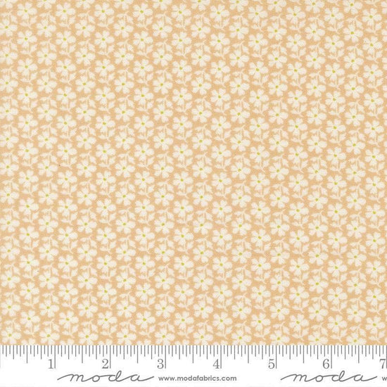 Image of Summers End Daisies Almond Pie quilting cotton fabric by Fig Tree Co for Moda Fabrics. Features flowers on a tan background. Cute Little Fabric Shop.