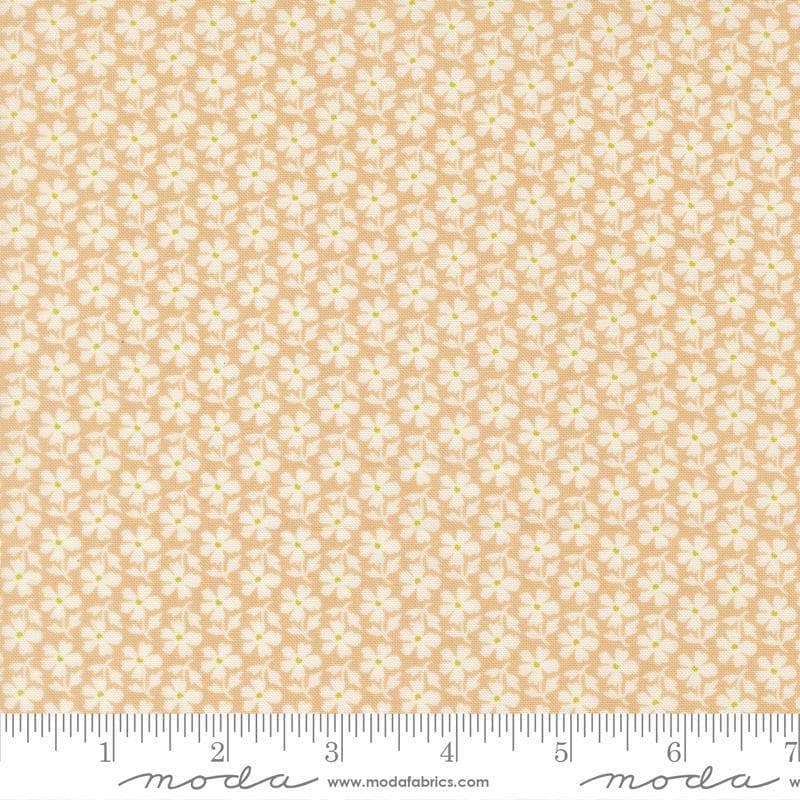 Image of Summers End Daisies Almond Pie quilting cotton fabric by Fig Tree Co for Moda Fabrics. Features flowers on a tan background. Cute Little Fabric Shop.