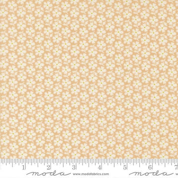 Image of Summers End Daisies Almond Pie quilting cotton fabric by Fig Tree Co for Moda Fabrics. Features flowers on a tan background. Cute Little Fabric Shop.