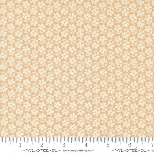 Image of Summers End Daisies Almond Pie quilting cotton fabric by Fig Tree Co for Moda Fabrics. Features flowers on a tan background. Cute Little Fabric Shop.