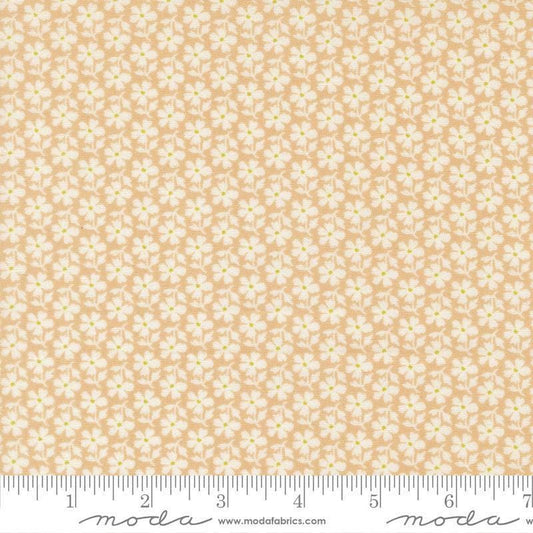 Image of Summers End Daisies Almond Pie quilting cotton fabric by Fig Tree Co for Moda Fabrics. Features flowers on a tan background. Cute Little Fabric Shop.