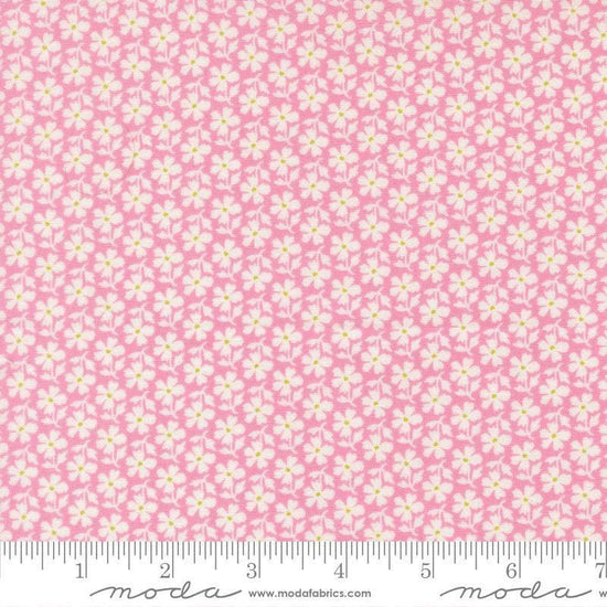 Image of Summers End Daisies Lilac quilting cotton fabric by Fig Tree Co for Moda Fabrics. Features flowers on a pink background. Cute Little Fabric Shop.