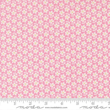 Image of Summers End Daisies Lilac quilting cotton fabric by Fig Tree Co for Moda Fabrics. Features flowers on a pink background. Cute Little Fabric Shop.