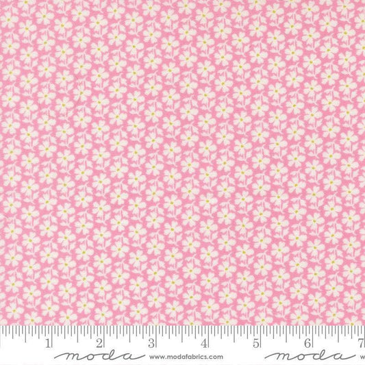 Image of Summers End Daisies Lilac quilting cotton fabric by Fig Tree Co for Moda Fabrics. Features flowers on a pink background. Cute Little Fabric Shop.