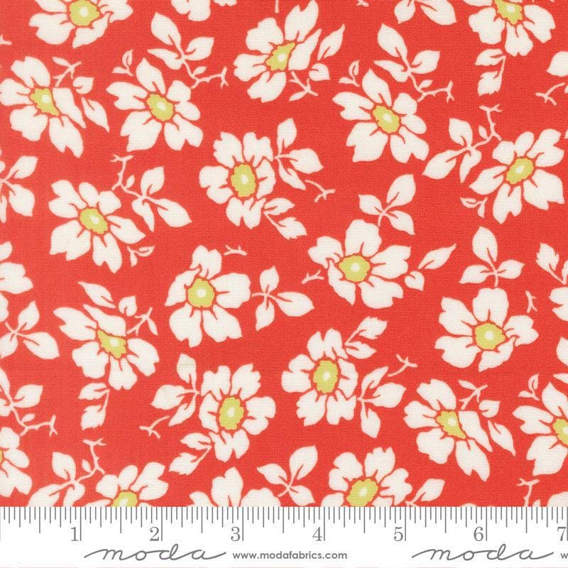 Image of Summers End Cosmos Persimmon quilting cotton fabric by Fig Tree Co for Moda Fabrics. Features flowers on a red background. Cute Little Fabric Shop.