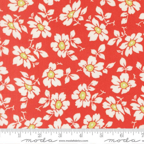Image of Summers End Cosmos Persimmon quilting cotton fabric by Fig Tree Co for Moda Fabrics. Features flowers on a red background. Cute Little Fabric Shop.